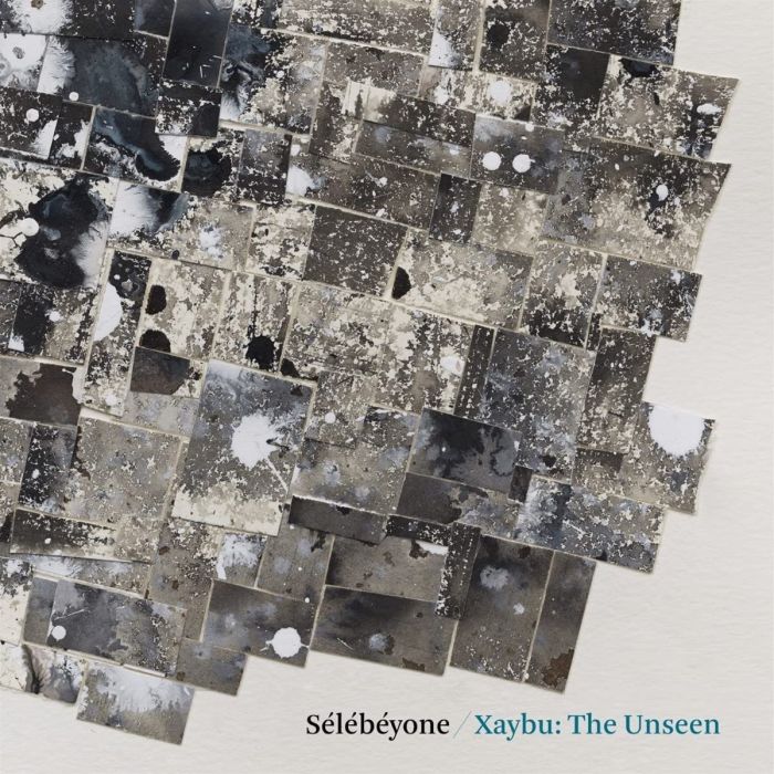 LEHMAN,STEVE & SELEBEYONE - XAYBU: THE UNSEEN