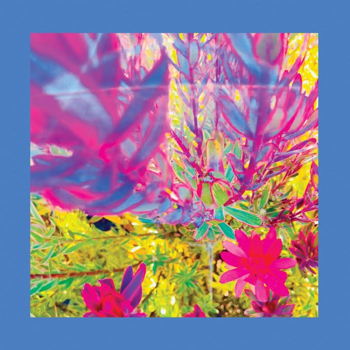 REDS, PINKS & PURPLES - PAST IS A GARDEN I NEVER FED (NEON PINK VINYL)