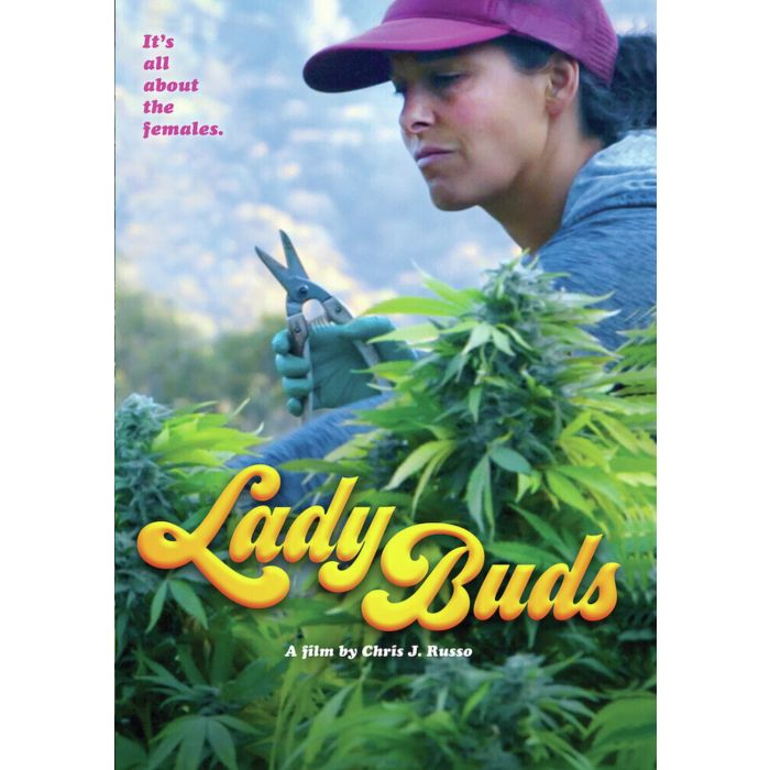 LADY BUDS