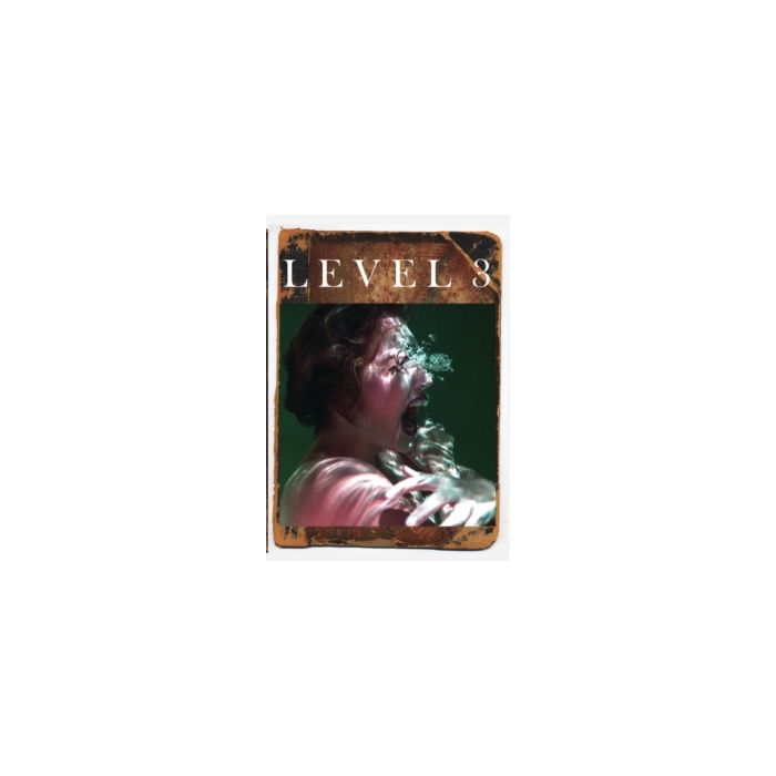 LEVEL 3
