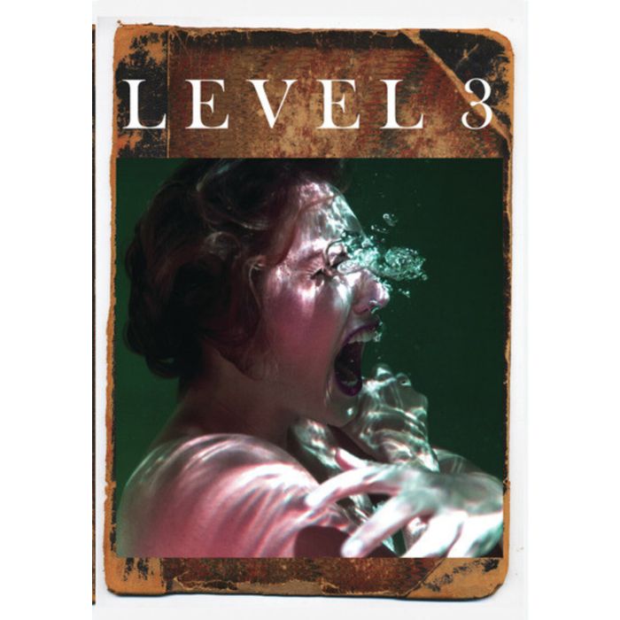LEVEL 3