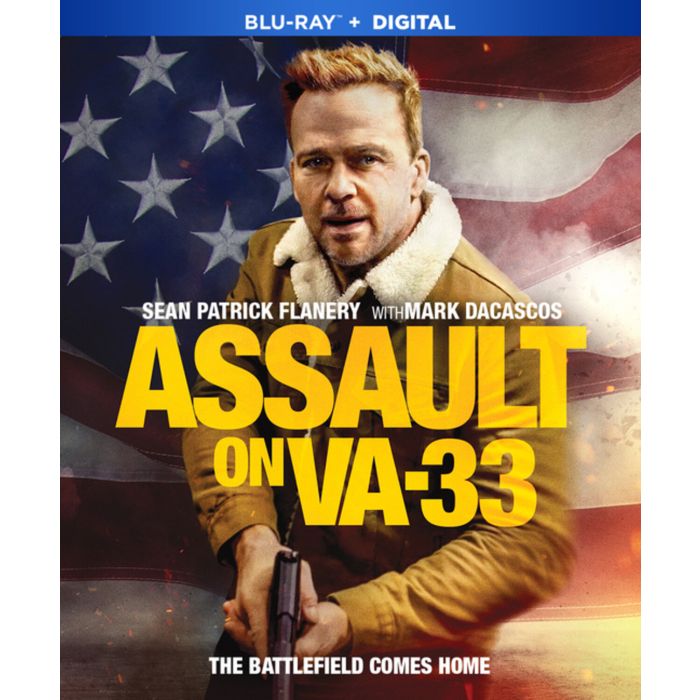 ASSAULT ON VA 33