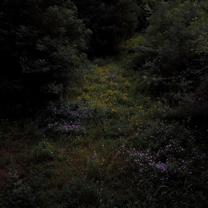 FIREWORKS - HIGHER LONELY POWER (CLOUDY BLACK VINYL)