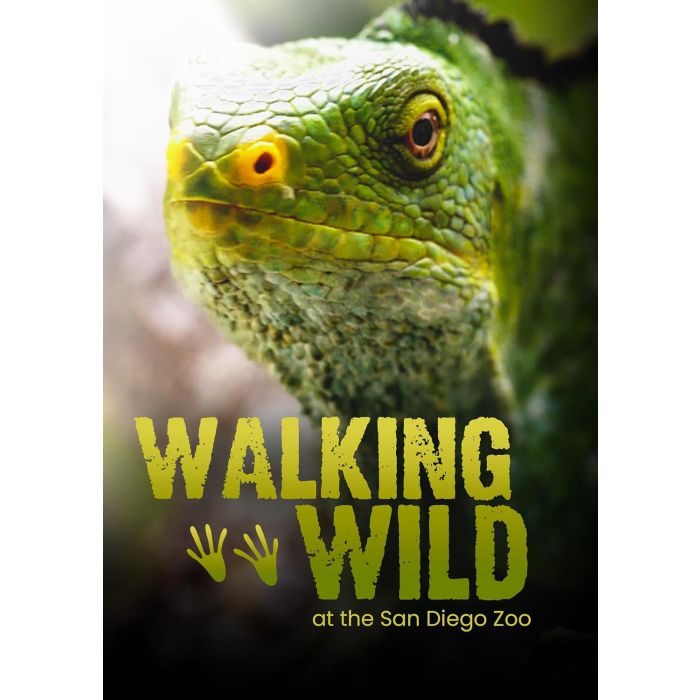 WALKING WILD