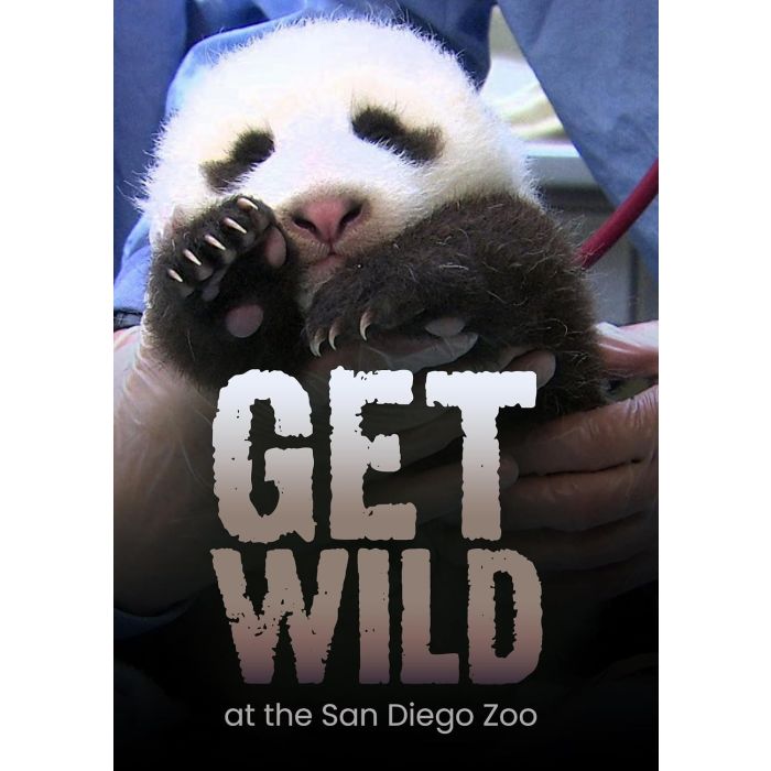 GET WILD
