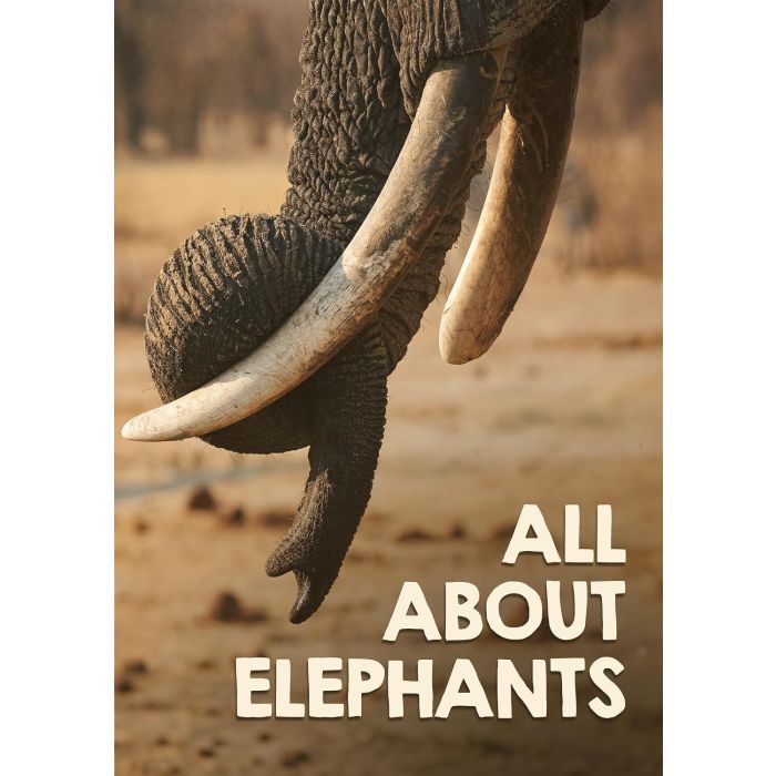 ALL ABOUT ELEPHANTS