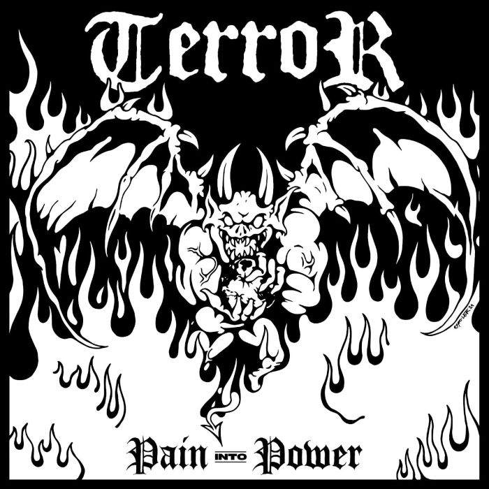 TERROR - PAIN INTO POWER