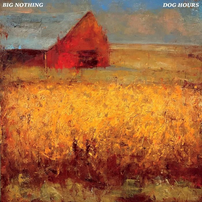 BIG NOTHING - DOG HOURS (TRANSPARENT BLUE VINYL)