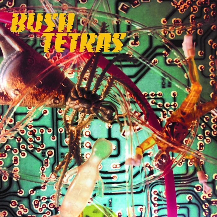 Bush Tetras - There Is A Hum b/w Seven Years