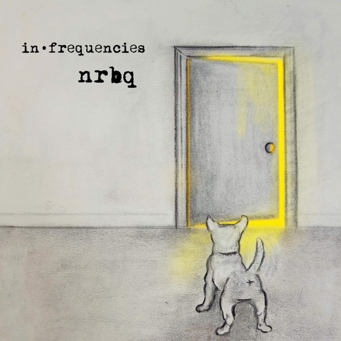 NRBQ - IN • FREQUENCIES