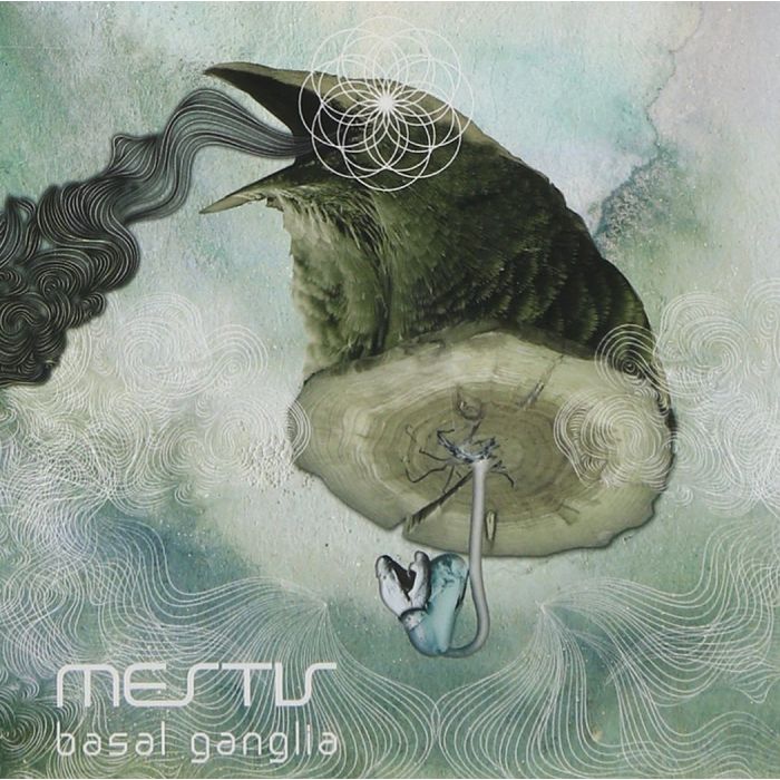 MESTIS - BASAL GANGLIA