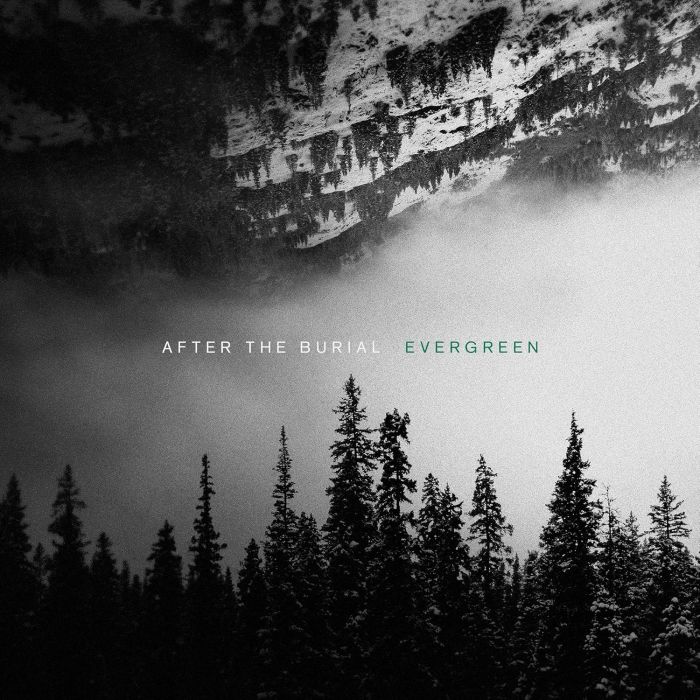 AFTER THE BURIAL - EVERGREEN