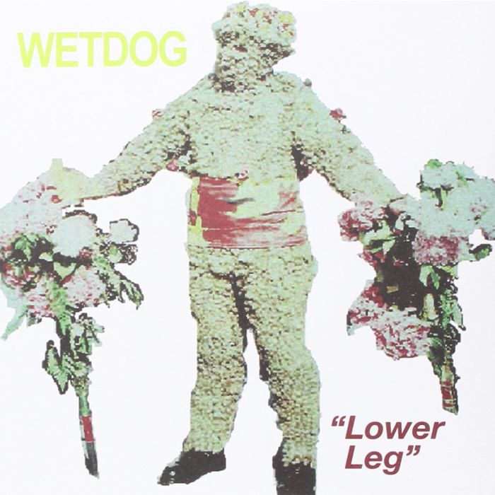 WET DOG - LOWER LEG
