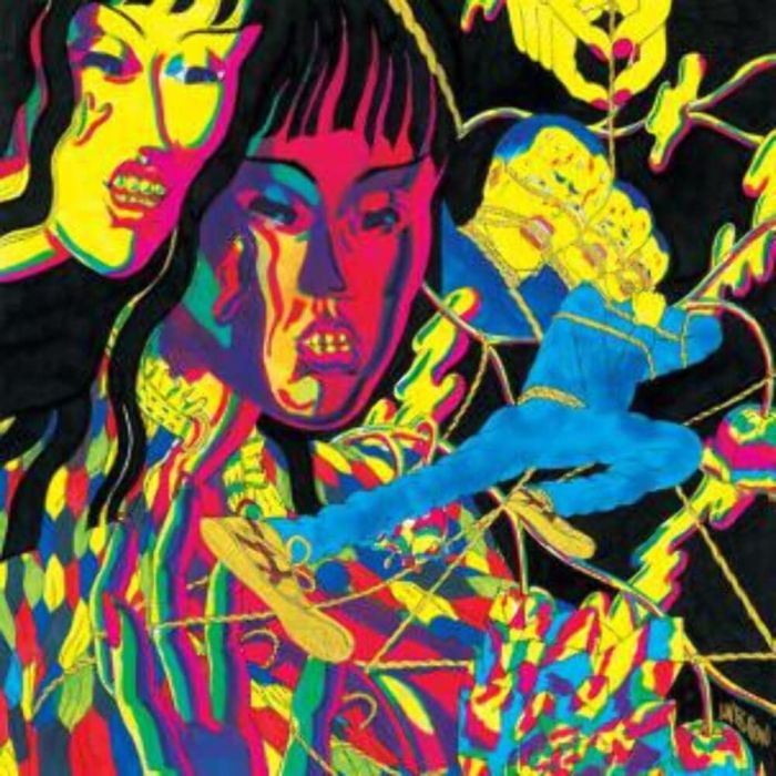 OH SEES - DROP