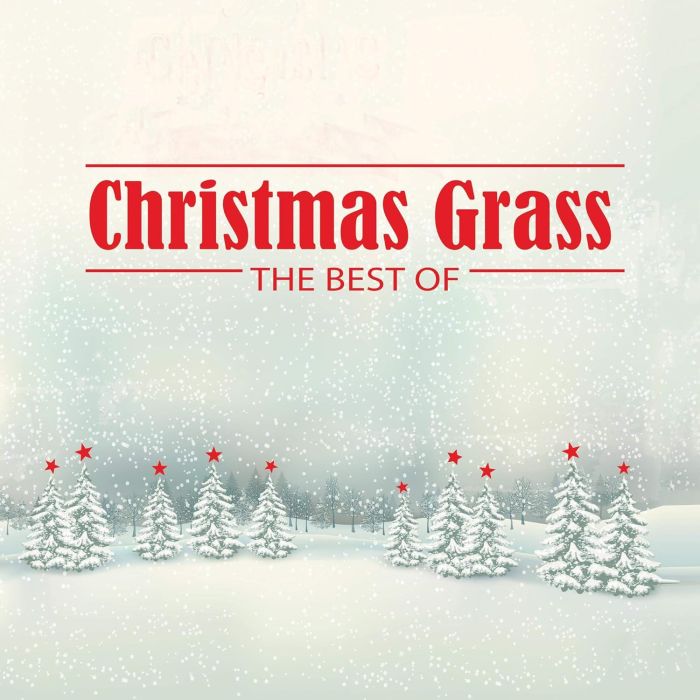 VARIOUS ARTISTS - CHRISTMAS GRASS: THE BEST OF (GREEN VINYL)