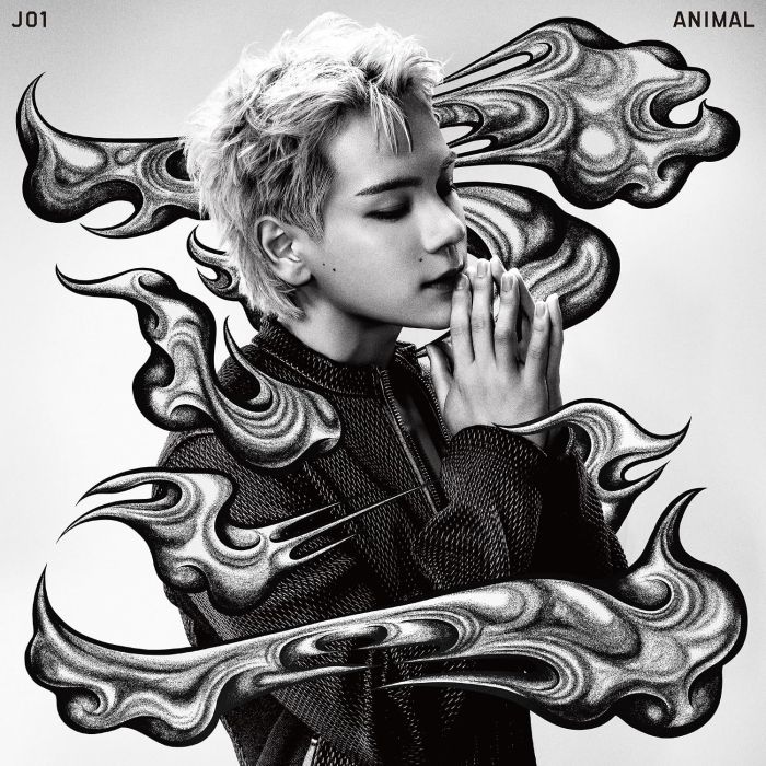 JO1 - ANIMAL (MEMBER SOLO JACKET VER. MAME)