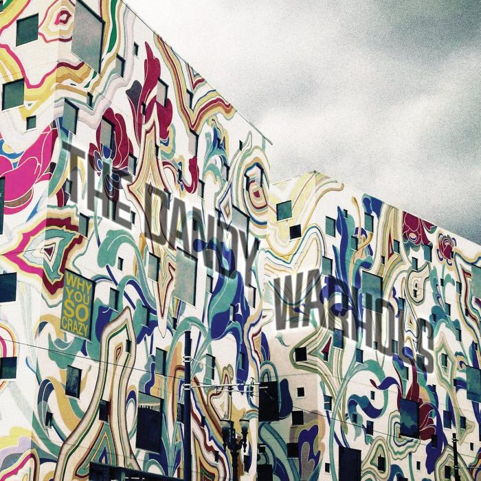 DANDY WARHOLS - WHY YOU SO CRAZY