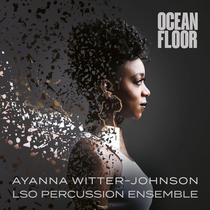 AYANNA WITTER-JOHNSON - AYANNA WITTER-JOHNSON: OCEAN FLOOR