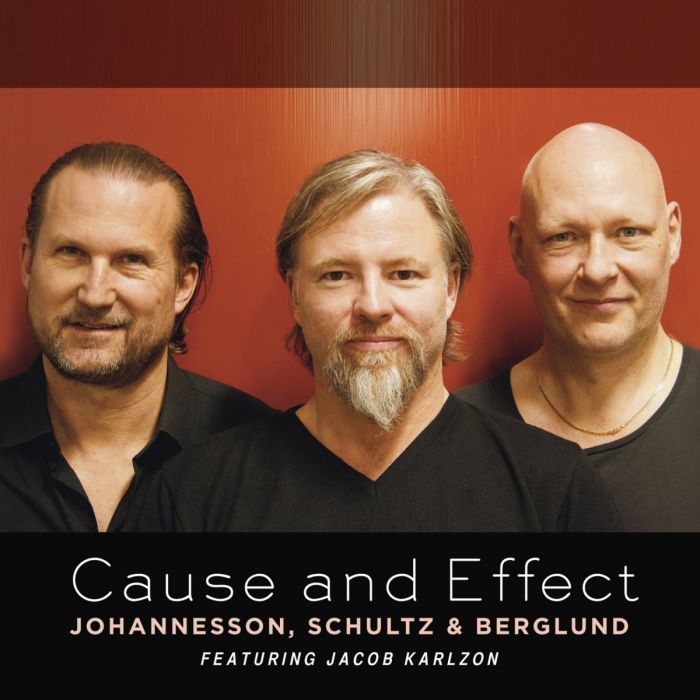 SCHULTZ BERGLUND JOHANNESSON - CAUSE AND EFFECT
