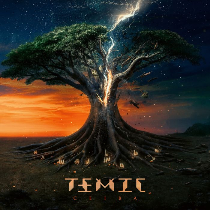 TEMIC - CEIBA