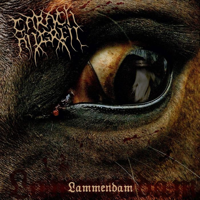 CARACH ANGREN - LAMMENDAM (ORANGE & BLACK MARBLED VINYL)