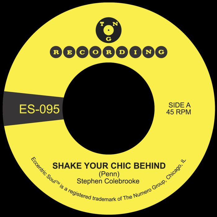 STEPHEN COLEBROOKE - SHAKE YOUR CHIC BEHIND B/W STAY AWAY FROM MUSIC