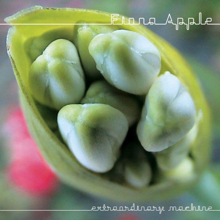 FIONA APPLE - EXTRAORDINARY MACHINE