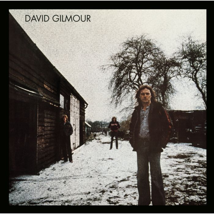 DAVID GILMOUR - DAVID GILMOUR