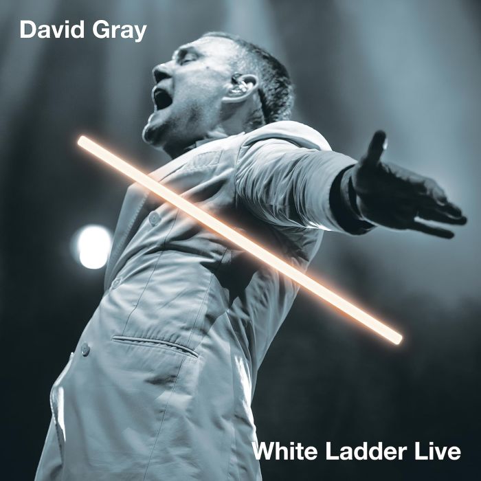 DAVID GRAY - WHITE LADDER LIVE