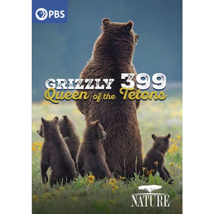 NATURE: GRIZZLY 399 - QUEEN OF THE TETONS