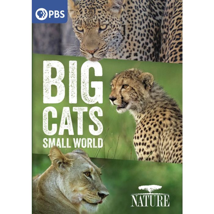 NATURE: BIG CATS, SMALL WORLD