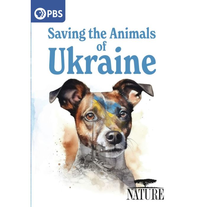 NATURE: SAVING THE ANIMALS OF UKRAINE
