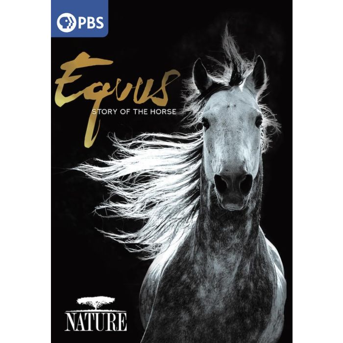 NATURE: EQUUS: STORY OF THE HORSE