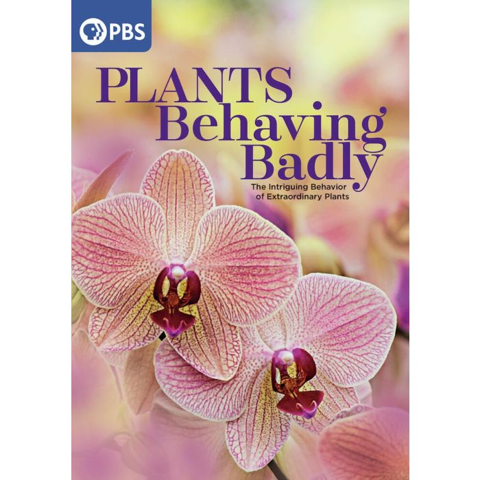 PLANTS BEHAVING BADLY