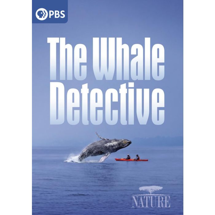 NATURE: THE WHALE DETECTIVE