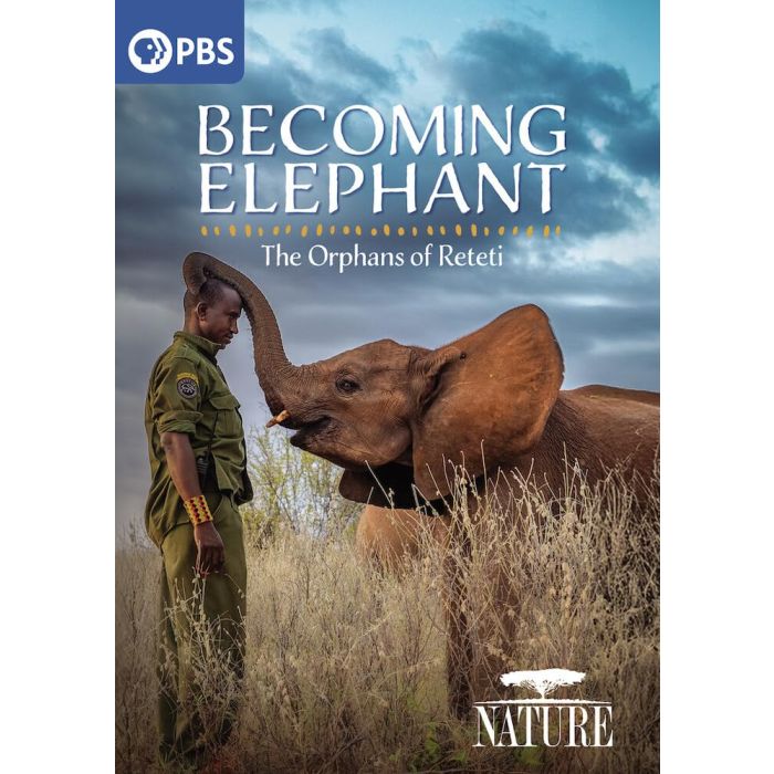 NATURE: BECOMING ELEPHANT - THE ORPHANS OF RETETI