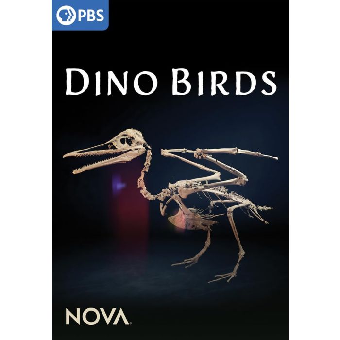 NOVA: DINO BIRDS