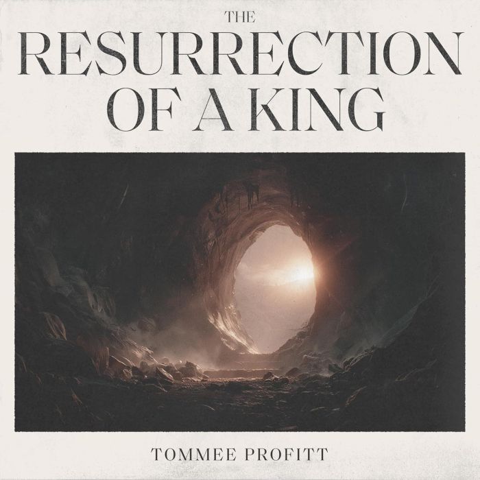 TOMMEE PROFITT - RESURRECTION OF A KING
