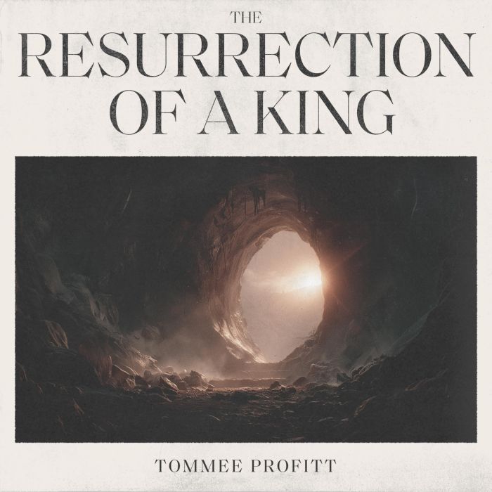TOMMEE PROFITT - RESURRECTION OF A KING (RAINFALL VINYL)