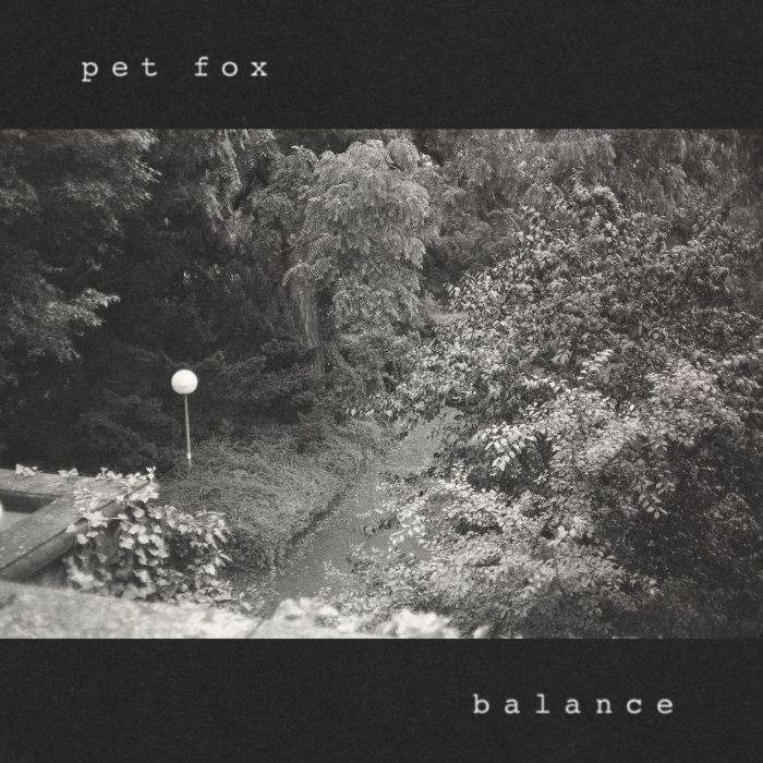PET FOX - BALANCE (COBWEB VINYL)