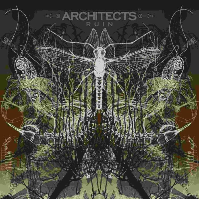 ARCHITECTS - RUIN REISSUE