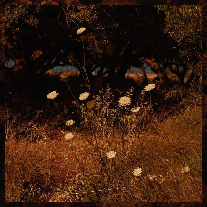 SZUN WAVES - EARTH PATTERNS