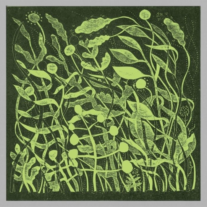 KIRK BARLEY - LUX