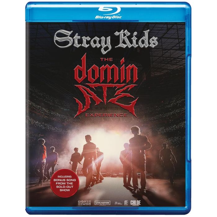 STRAY KIDS: THE DOMINATE EXPERIENCE