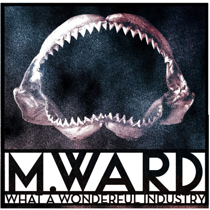 M. WARD - WHAT A WONDERFUL INDUSTRY