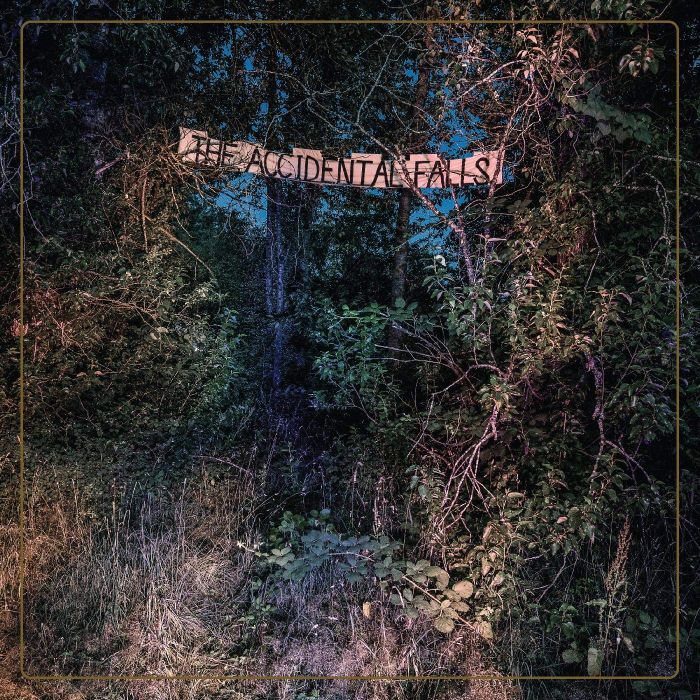 EYELIDS - ACCIDENTAL FALLS (DL CARD)