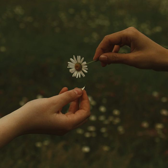 GOLDMUND - TIME IT TAKES