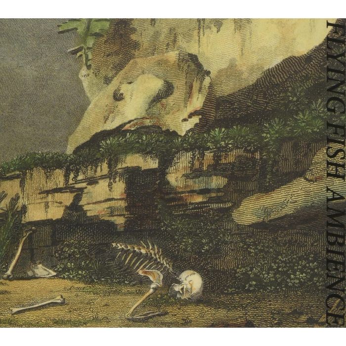 RAINFOREST SPIRITUAL ENSLAVEMENT - FLYING FISH AMBIENCE