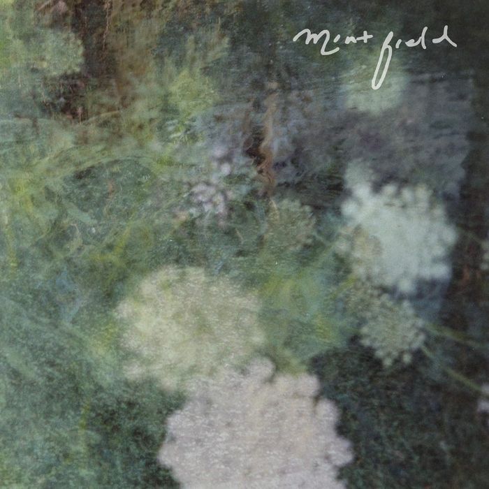 MINT FIELD - SENTIMIENTO MUNDIAL