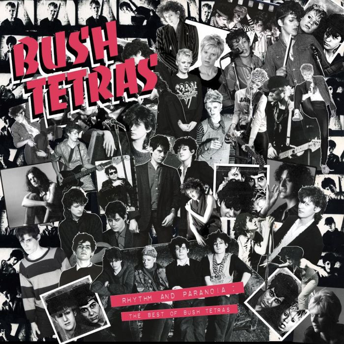 BUSH TETRAS - RHYTHM & PARANOIA: THE BEST OF BUSH TETRAS (3LP/BOOK)